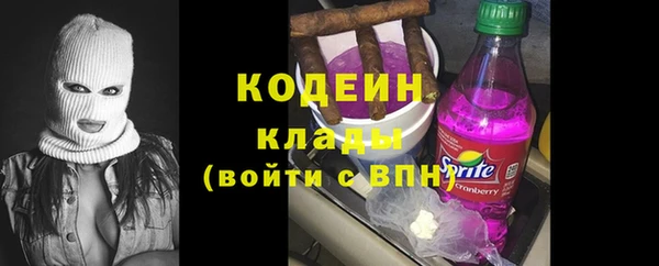 индика Семилуки