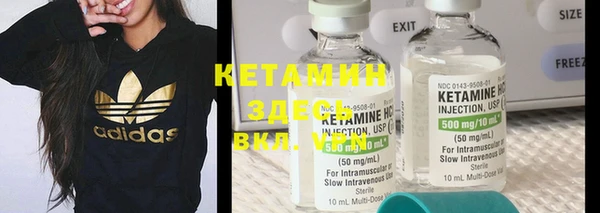 индика Семилуки