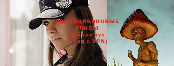 ALPHA PVP Семёнов