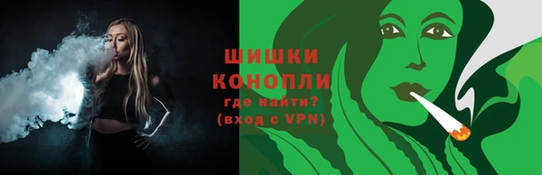 индика Семилуки