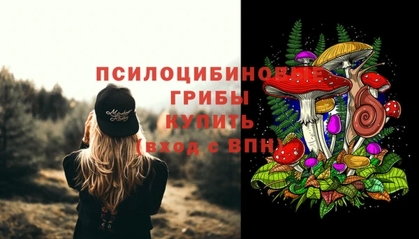 мдпв Семикаракорск