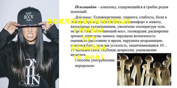 индика Семилуки