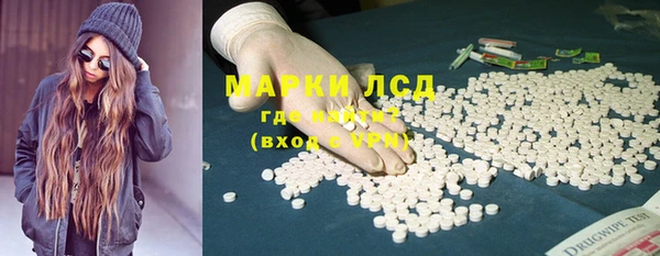 индика Семилуки