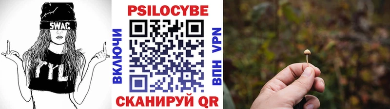 Купить где  Чекалин  Галлюциногенные грибы прущие грибы 