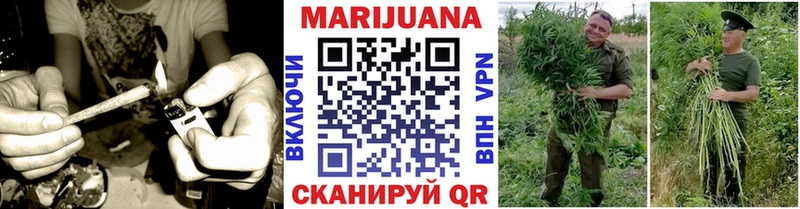 Купить  Чекалин  Бошки Шишки MAZAR 